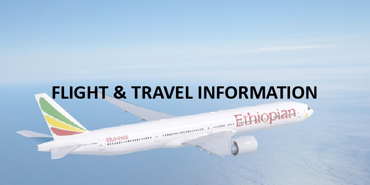 Flight & Travel Information