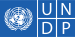 UNDP logo